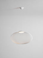 Metallic Meshwork Pendant Lamp