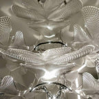 Chlorophilia Suspension Light
