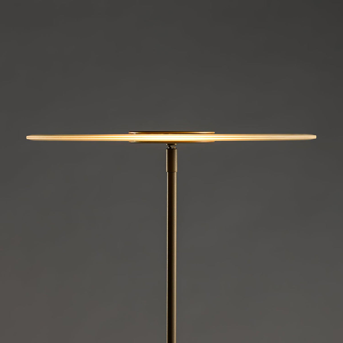 Luxora Floor Lamp