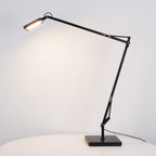 Pivot LED Desk Lamp
