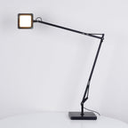 Pivot LED Desk Lamp