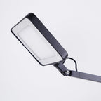 Pivot LED Desk Lamp