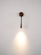 Flexi Hose Wall Light