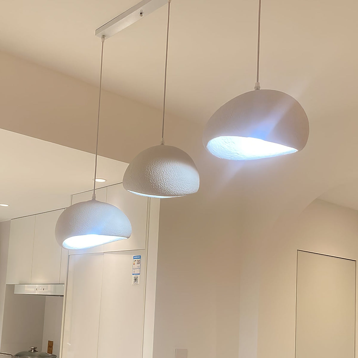 Zenra Wabi-Sabi Organic Chandelier