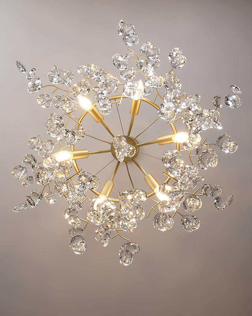 Sofia Chandeliers