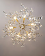 Sofia Chandeliers