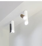 Tubes Ceiling Light
