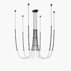 Leda Chandelier