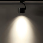 Paloma Ceiling Light