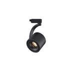Paloma Ceiling Light