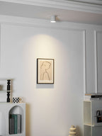 Modupoint Ceiling Light
