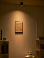 Modupoint Ceiling Light