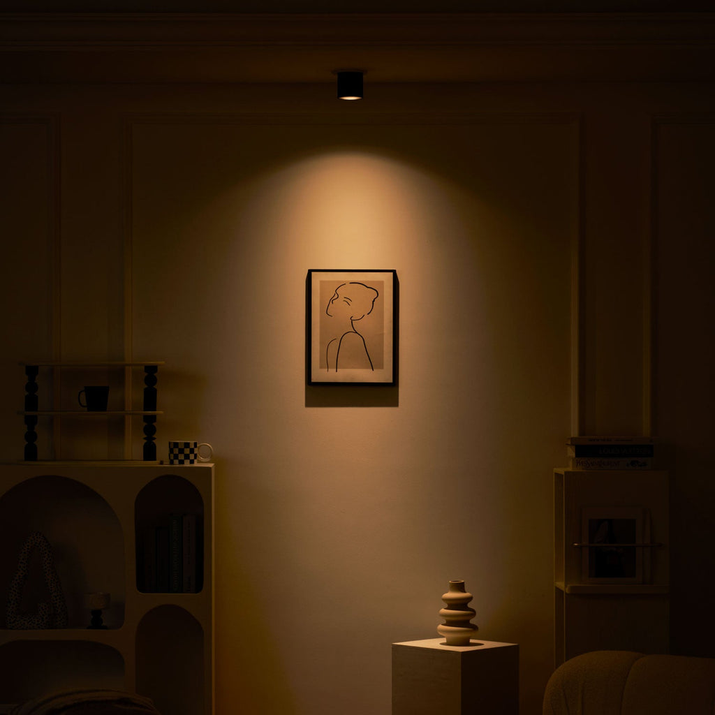 Modupoint Ceiling Light