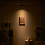 Modupoint Ceiling Light