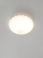 Devan Seashell Ceiling Lamp