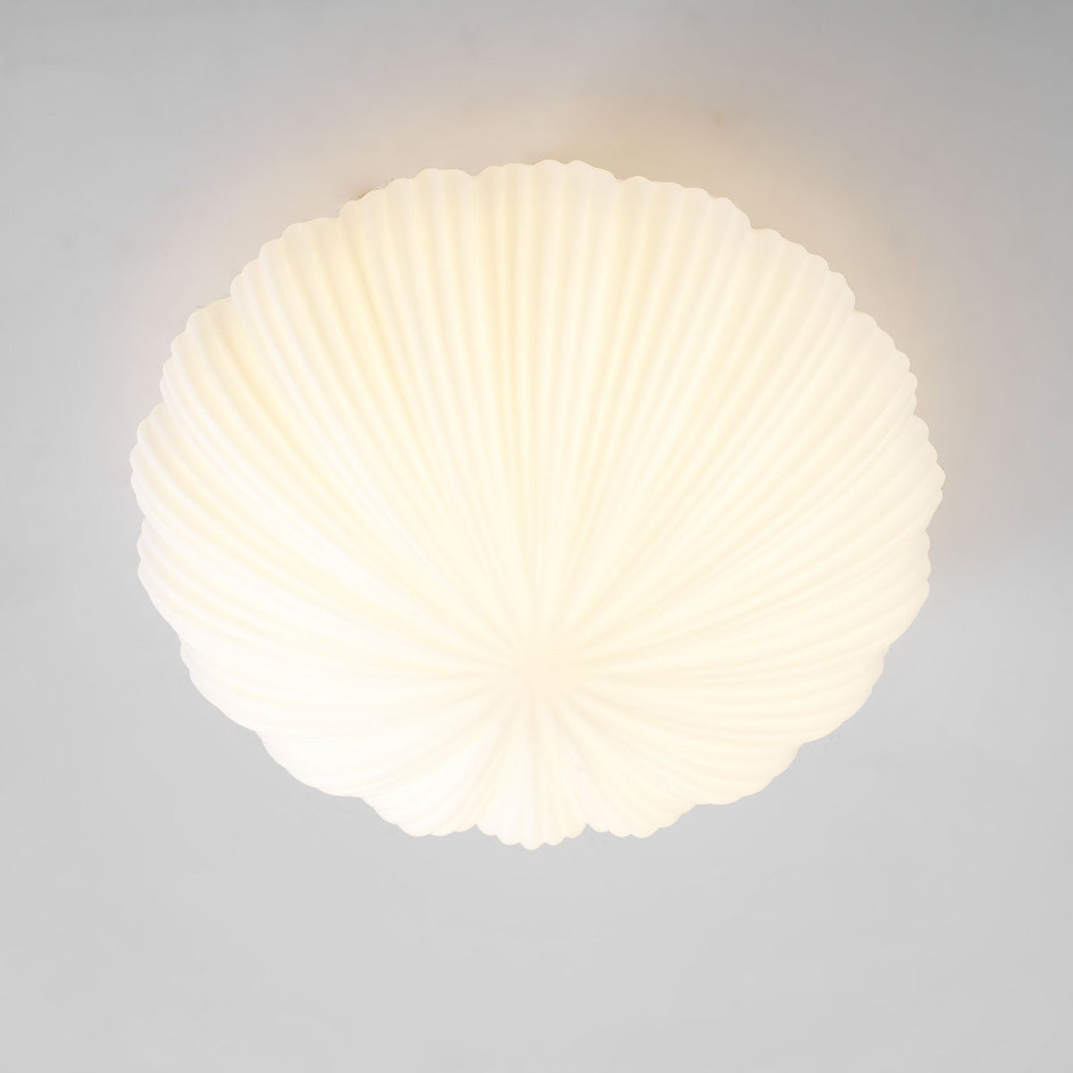 Devan Seashell Ceiling Lamp