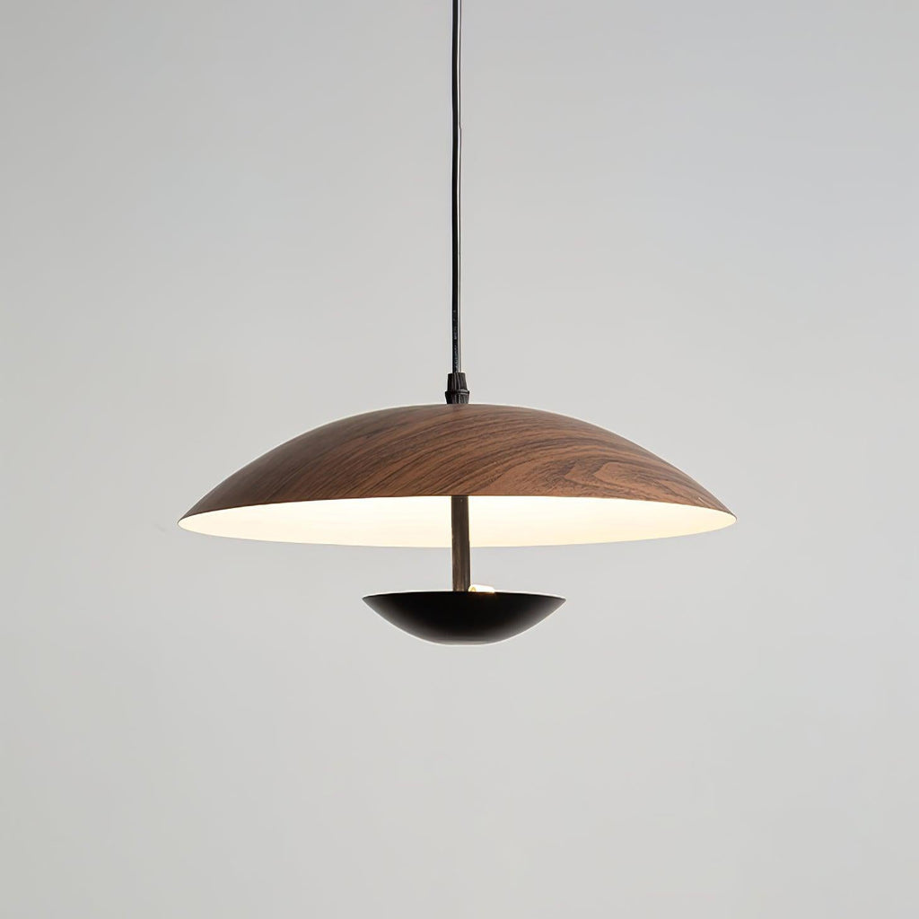 Frisbee Pendant Lamp