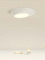 Angled Ceiling Light