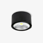 Anzio Spotlights