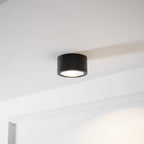 Anzio Spotlights
