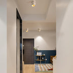 Rotatable Spotlight