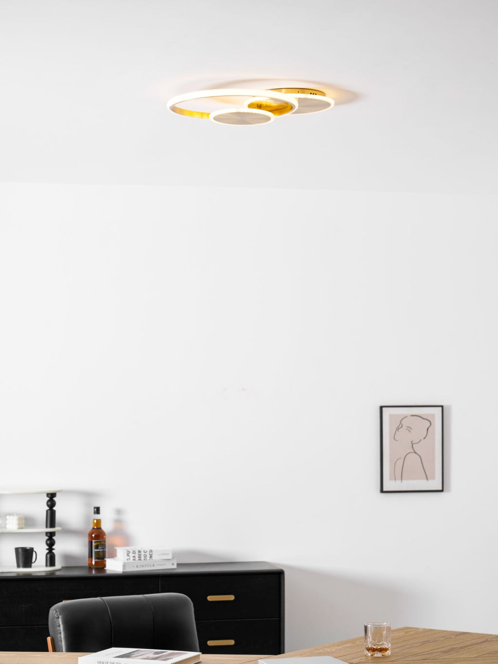 Circles LED Ceiling Light