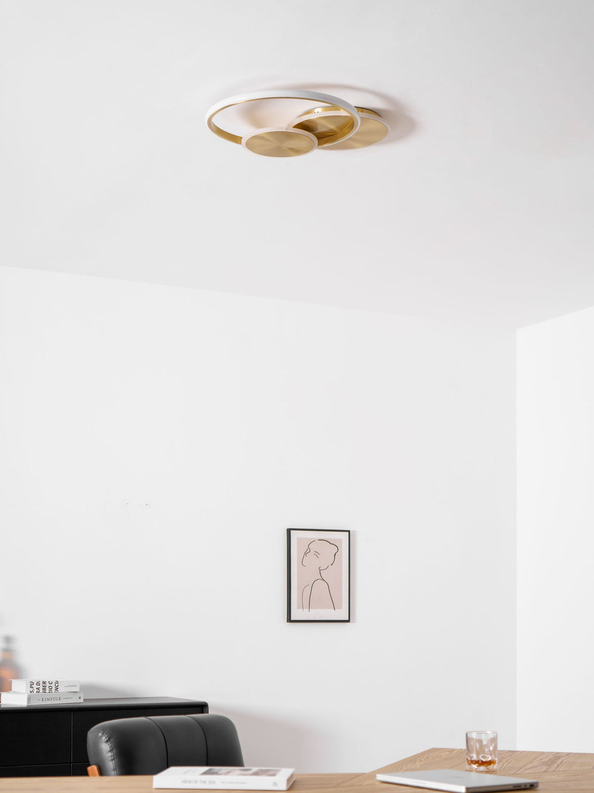 Circles LED Ceiling Light