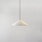 Hat Resin Pendant Lamp