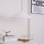 Hat Resin Pendant Lamp