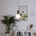Capsule Globe Pendant Light