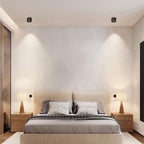 Modern Ember Recessed LED Downlight