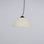Dome Morphe Pendant Light