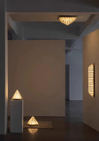 Fragment Ceiling Lamp