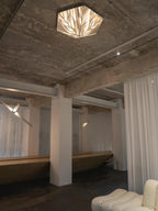 Fragment Ceiling Lamp