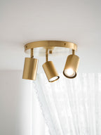 Hugo Hotspot Ceiling Light