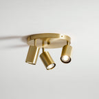 Hugo Hotspot Ceiling Light