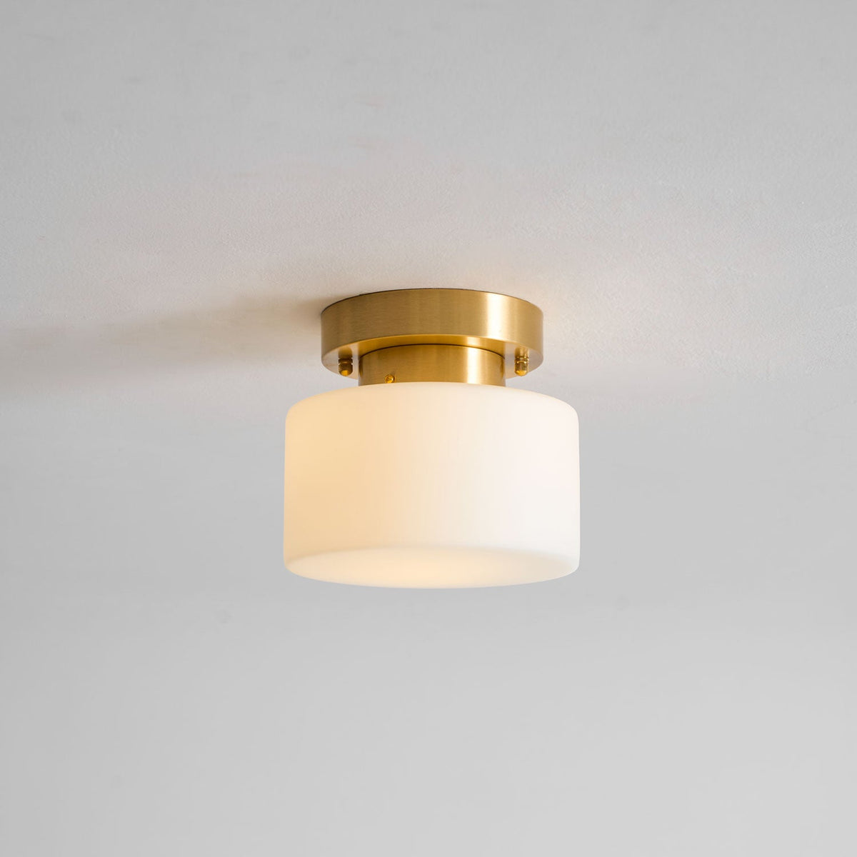 Clinio Flush Mount Ceiling Light