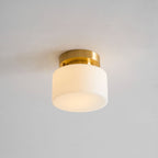 Clinio Flush Mount Ceiling Light