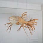 Koi Chandelier