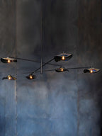 Lotus Leaves Glass Chandelier