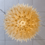 Glass Palmette Chandelier