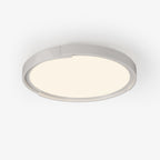 Edge Minimalist Ceiling Light