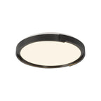 Edge Minimalist Ceiling Light