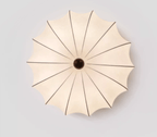 Pompeluna Ceiling Light
