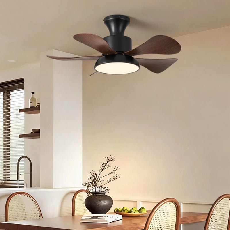 Velmora Ceiling Fan Light