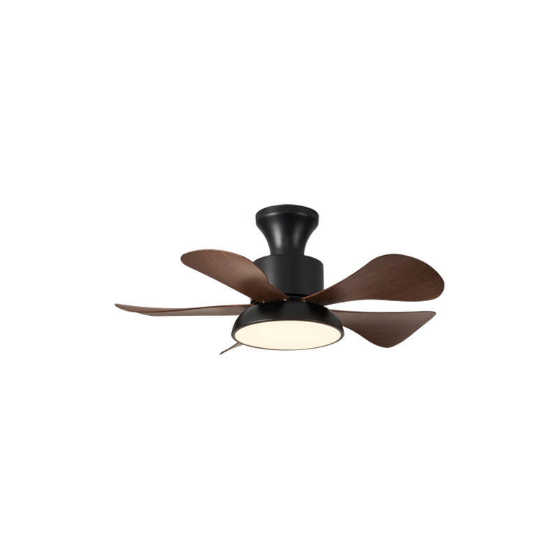Velmora Ceiling Fan Light