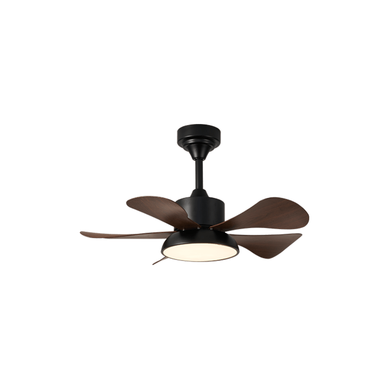 Velmora Ceiling Fan Light