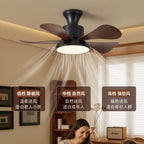 Velmora Ceiling Fan Light