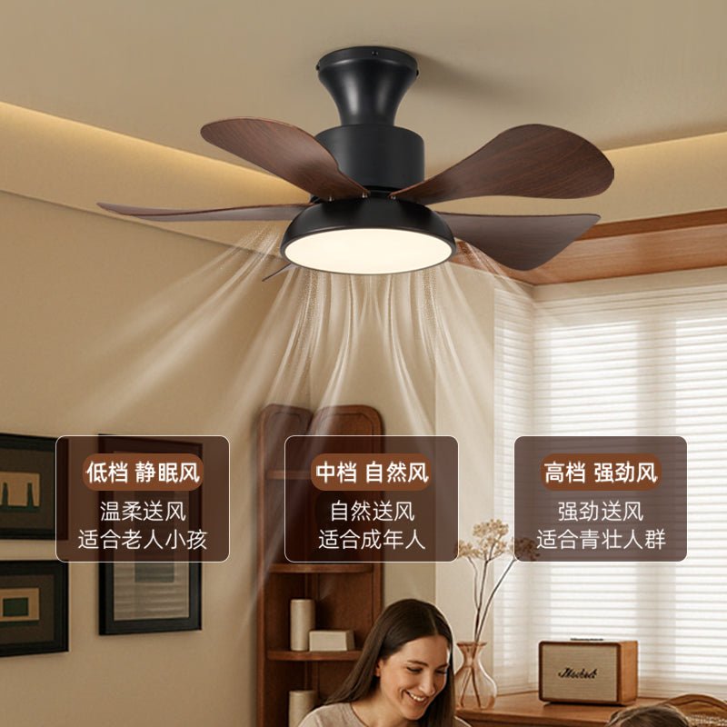 Velmora Ceiling Fan Light