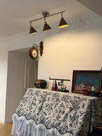 Axiom Directional Ceiling Lamp